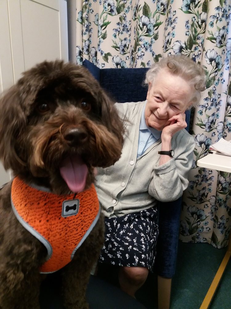 And they called it puppy love - Mercia Grange receives ‘furry’ special visitor